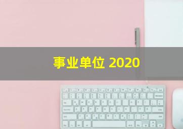 事业单位 2020